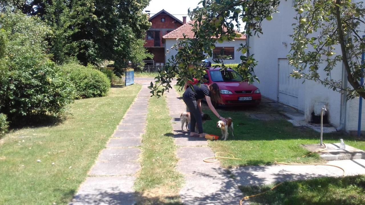 Home Of Nature - Kuca Prirode Odžak Esterno foto