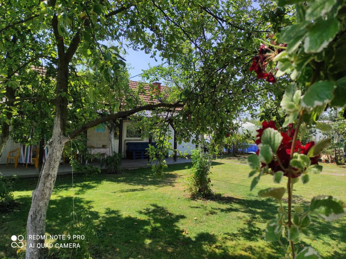 Home Of Nature - Kuca Prirode Odžak Esterno foto